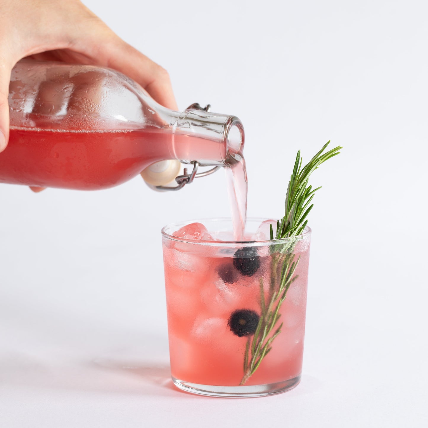 Fresh Water Kefir Grains