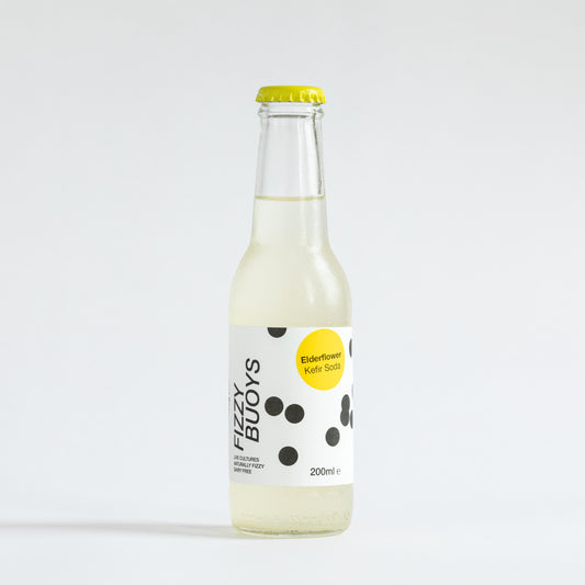 Flavoured Kefir Soda (Water Kefir)