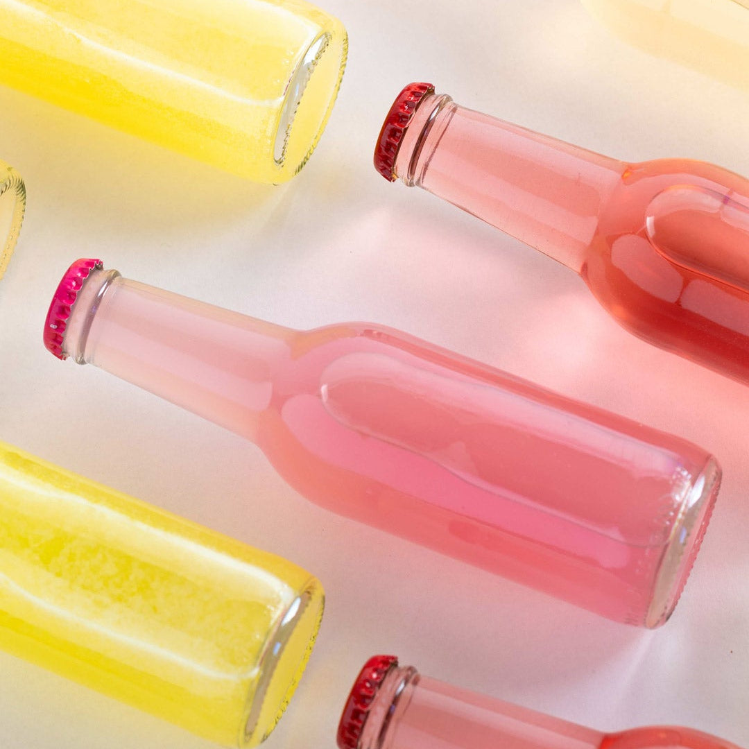 Water Kefir Starter Kit