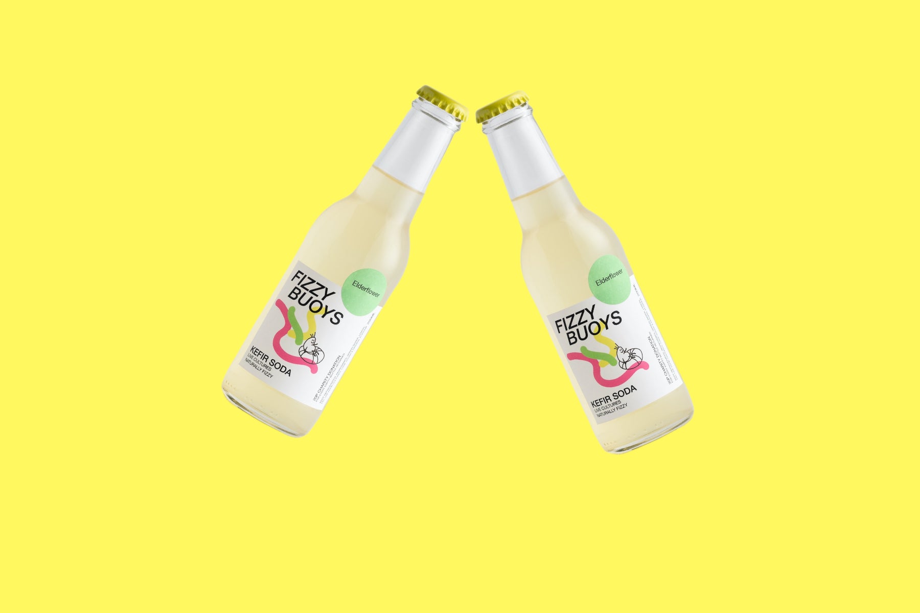 fizzy buoys kefir soda (kefir water)