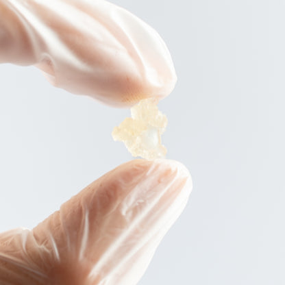 holding kefir water grains in fingers