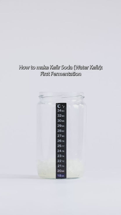 Fresh Water Kefir Grains