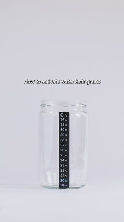 Stick-On Fermentation Thermometer